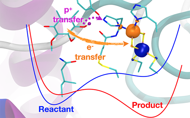 Primary Proton-Coupled Electron Transfer Reaction in the Cytochrome bc1 Complex