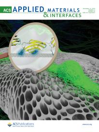 Prechondrogenic {ATDC5} cell attachment and differentiation on graphene foam; modulation by surface functionalization with fibronectin, S.M. Frahs et al, ACS Applied Materials and Interfaces 11, pp.41906-41924 (2019)
