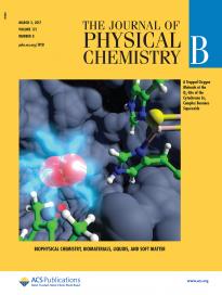 Charge Transfer at the Qo‑Site of the Cytochrome bc1 Complex Leads to Superoxide Production. Adrian Bøgh Salo, Peter Husen, Ilia A. Solov’yov. J. Phys. Chem. B, 121: 1771−1782, 2017.