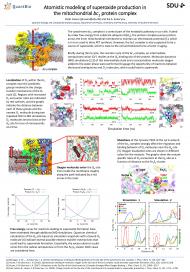 Atomistic modeling of superoxide production in the mitochondrial bc1  protein complex. Poster presented at the annual meeting of the Danish  Physical Society 2017. Peter Husen and Ilia A. Solov'yov.