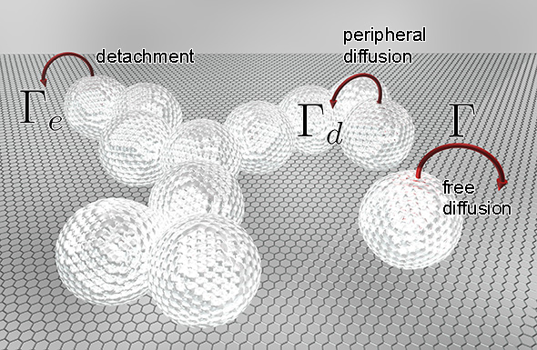 The important processes which govern pattern formation.