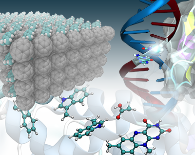 Computational Biophysics