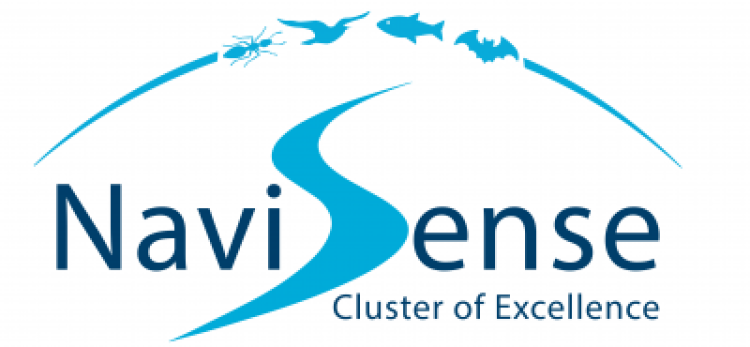 navisense