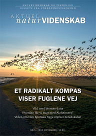 Et radikalt kompas viser fugelene vej. E. Sjulstok, C. Nielsen, I.A. Solov'yov. Aktuel Naturvidenskab 5, pp 30-33, (2018)