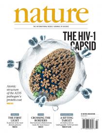 An atomic model of the human immunodeficiency virus-1 (HIV-1) capsid within a representation of the viral envelope. Image credit: Juan R. Perilla, John Stone, Ilia A. Solov'yov, Olga Svinarski, Klaus Schulten and Peijun Zhang. URL: <a href='http://www.nature.com/nature/journal/v497/n7451/index.html'>http://www.nature.com/nature/journal/v497/n7451/index.html</a>