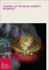 Electron transfer from ascorbic acid to a photo-activated state of cryptochrome could enhance the ability of the protein to respond to the Earth's magnetic field and so result in a more efficient magnetic compass sensor in night-migratory songbirds.