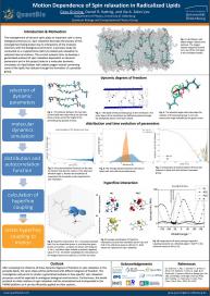 Motion dependence of spin relaxation in radicalized lipids - Gesa Grüning