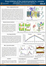 The Y279S mutation of the Q_o-site of the Plasmodium falciparum bc_1 complex weakens the inhibition mechanism of the ligands atovaquone and stigmatellin possibly explaining the drug resistance found related to the Y279S mutation.  Topical Meeting, Copenhagen, 2020. Luise Jacobsen