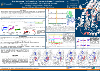 Post-Activation Conformational Changes in Piegon Cryptochrome