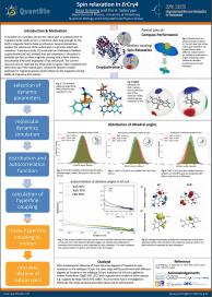 Spin relaxation in European robin cryptochrome - Gesa Grüning