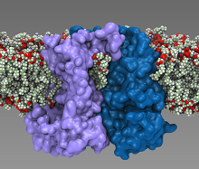 Modelling membrane-embedded systems