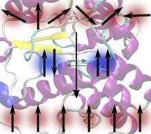 Photochemically induced dynamic nuclear polarization in complex systems