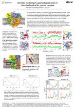 Atomistic modeling of superoxide production in the mitochondrial bc1  protein complex. Poster presented at the annual meeting of the Danish  Physical Society 2017. Peter Husen and Ilia A. Solov'yov.