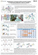 Identification of charge transfer processes leading to superoxide production in the bc1 complex