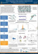 Motion dependence of spin relaxation in radicalized lipids - Gesa Grüning