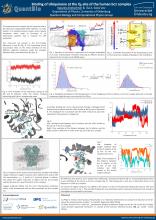 Outreach poster on binding of Ubiquinone at the Qi-site of the human bc1-complex