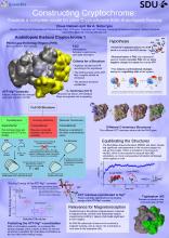 Poster by Claus Nielsen and Ilia A. Solov'yov for the RIN16 conference, London, April 2016. It was also presented at the Annual Meeting in the Danish Physical Society, Middelfart, June 2016.