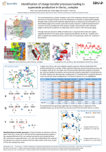 Identification of charge transfer processes leading to superoxide production in the bc1 complex. Poster for the QuEBS 2016 conference by Peter Husen, Adrian Bøgh Salo and Ilia A. Solov'yov